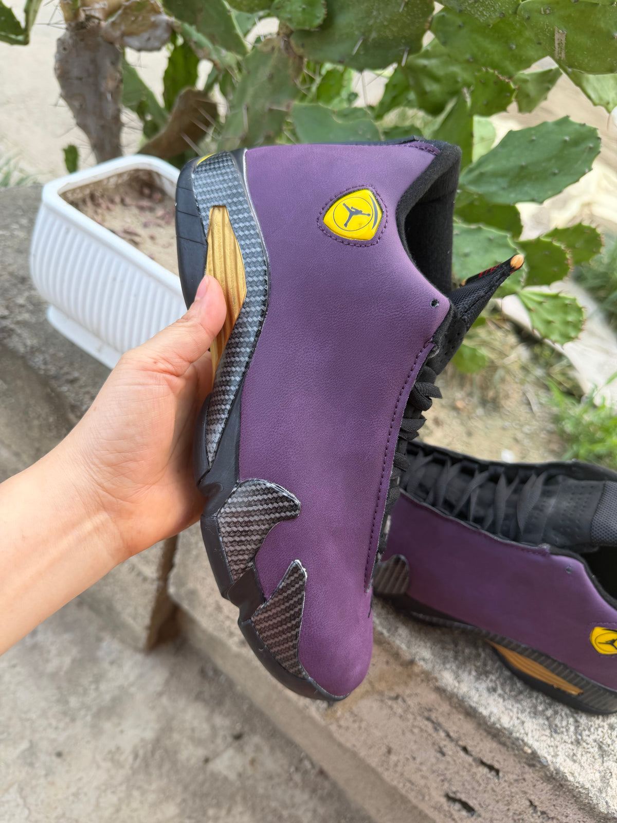Air Jordan 14 Purple/Black | Violet Eclipse