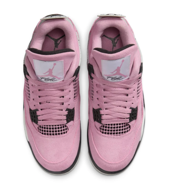 Air Jordan 4 Retro Women's 'Orchid' | Botanical Afterglow AQ9129-501