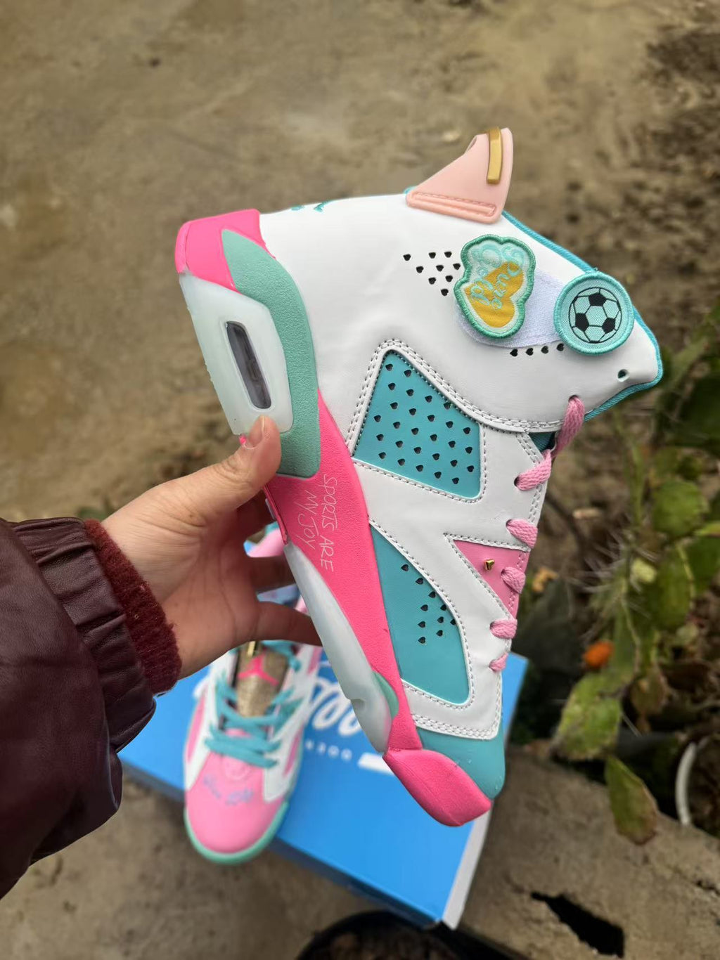 Air Jordan 6 Retro Blue/Pink | Twilight Dialogue
