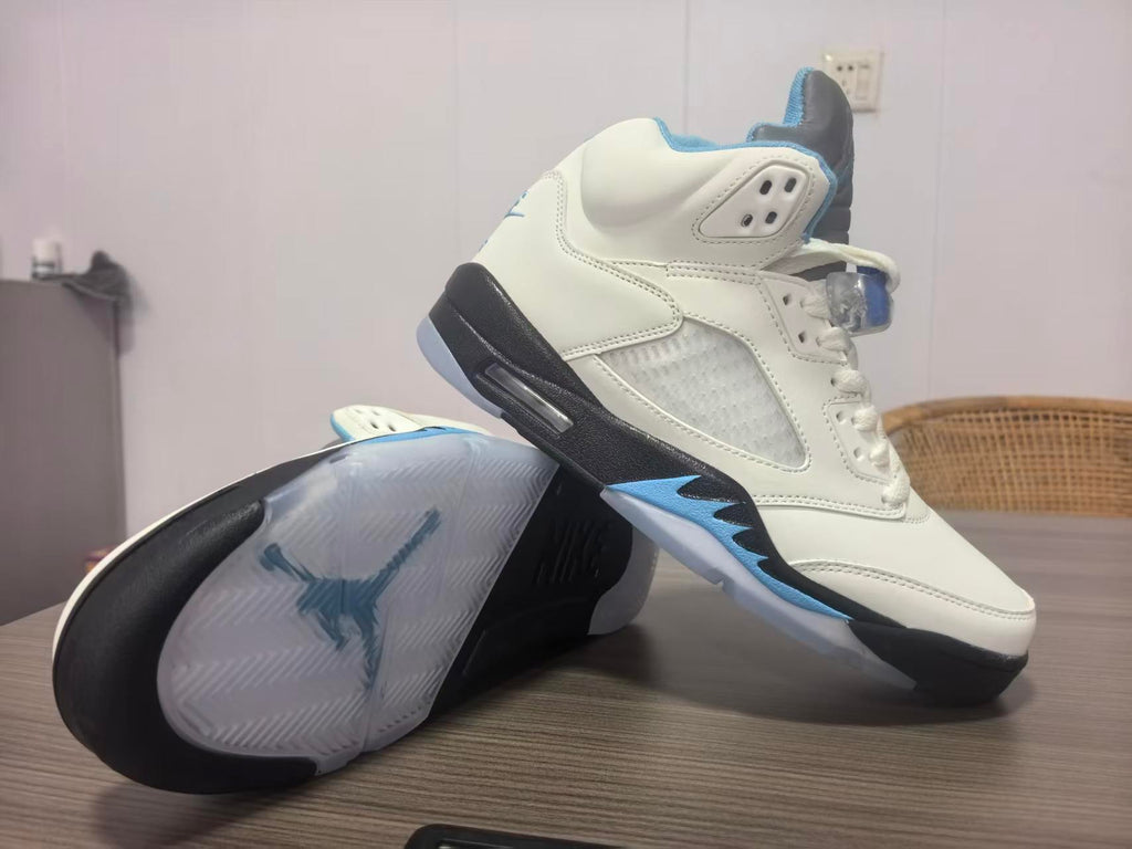 Air Jordan 5 Deep Pink/Blue | Chromatic Postscript